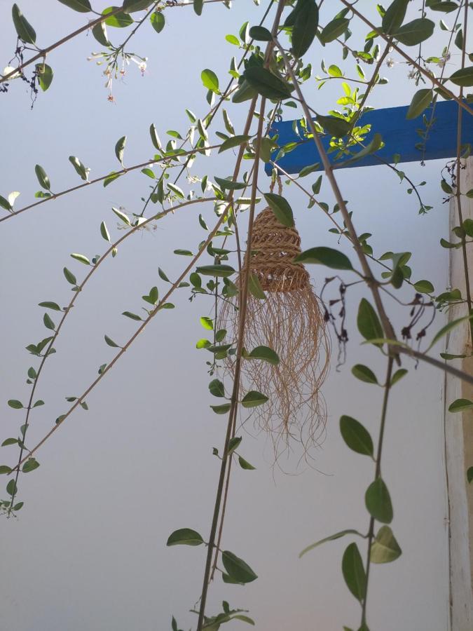 Dar Janis Djerba دار يانيس جربة Apartment Houmt Souk  Cameră foto